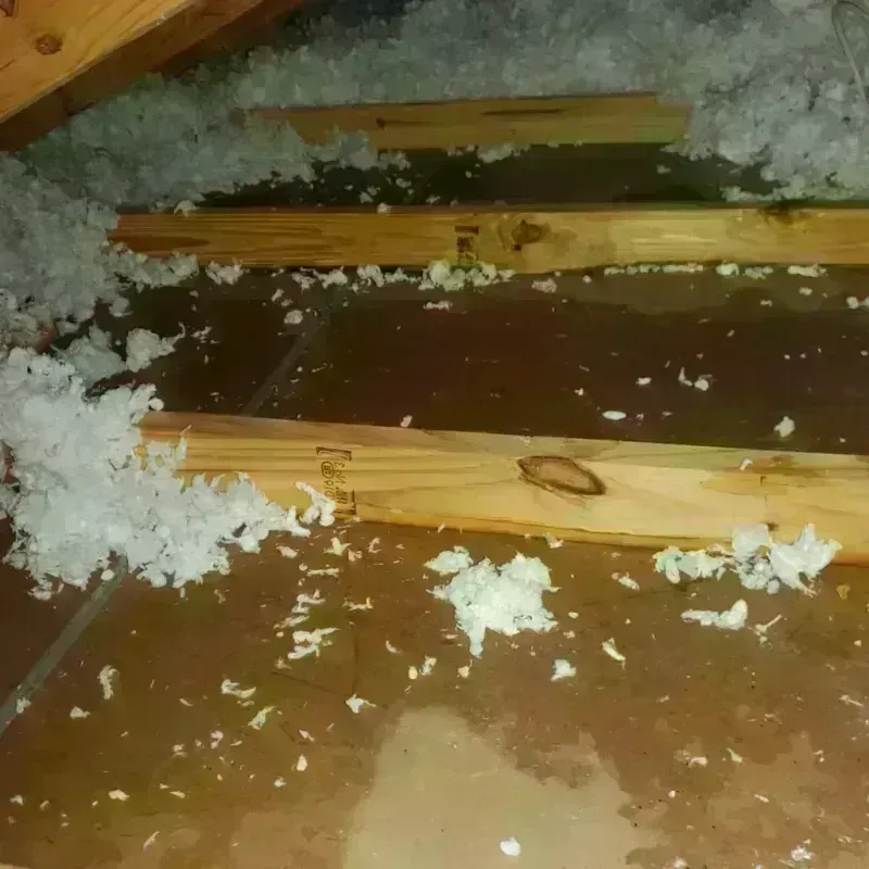 Attic Water Damage in Kilmarnock, VA